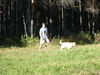 Filename=1 010__.jpg
Filesize=5423KB
Dimensions=3072x2304
Date added=May 18, 2010 1 010__.jpg